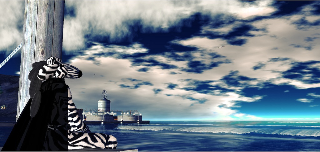 zebradasilva_clouds1 zebradasilva_clouds1